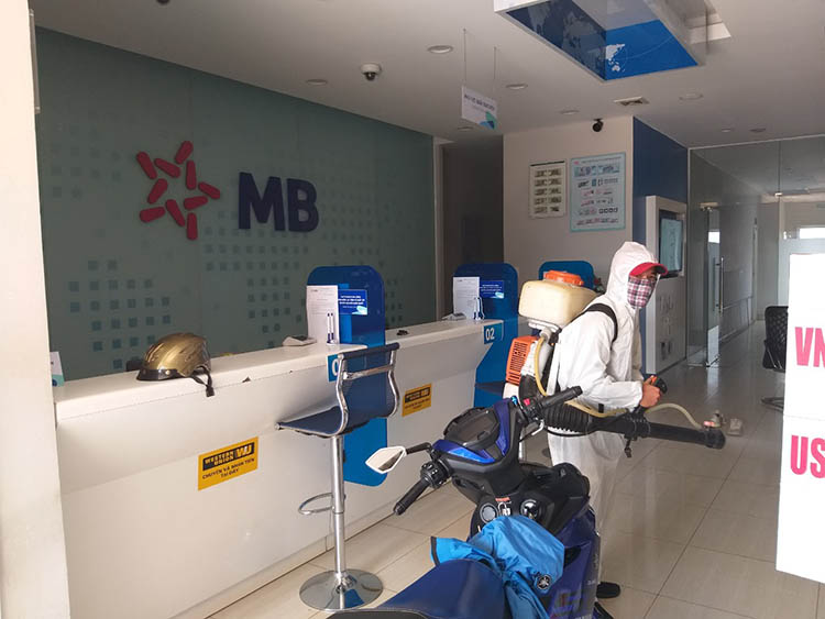 dich-vu-diet-muoi-tan-goc-tai-van-phong