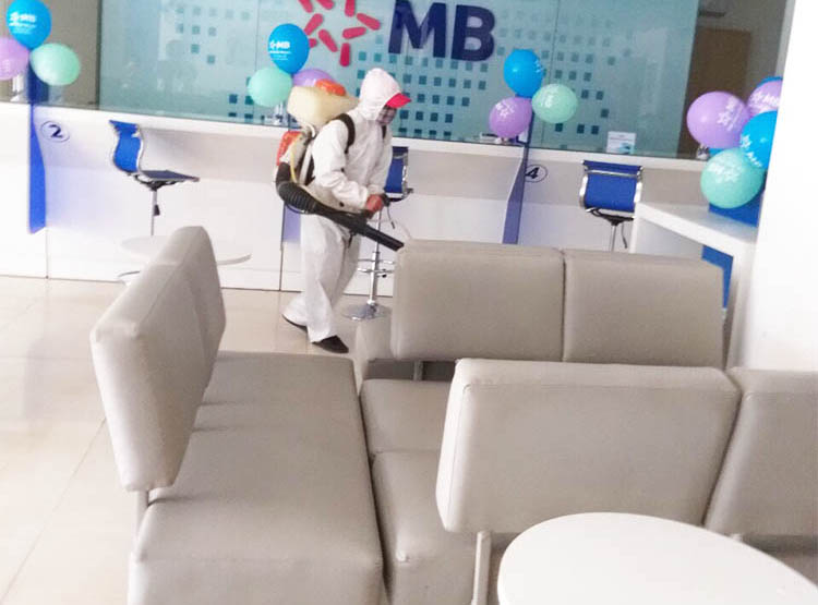 dich-vu-diet-muoi-tan-goc-tai-van-phong