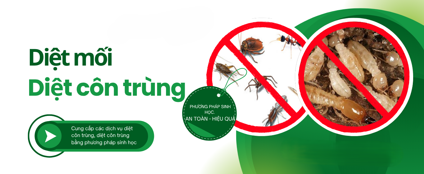 diet-moi-bang-phuong-phap-sinh-hoc