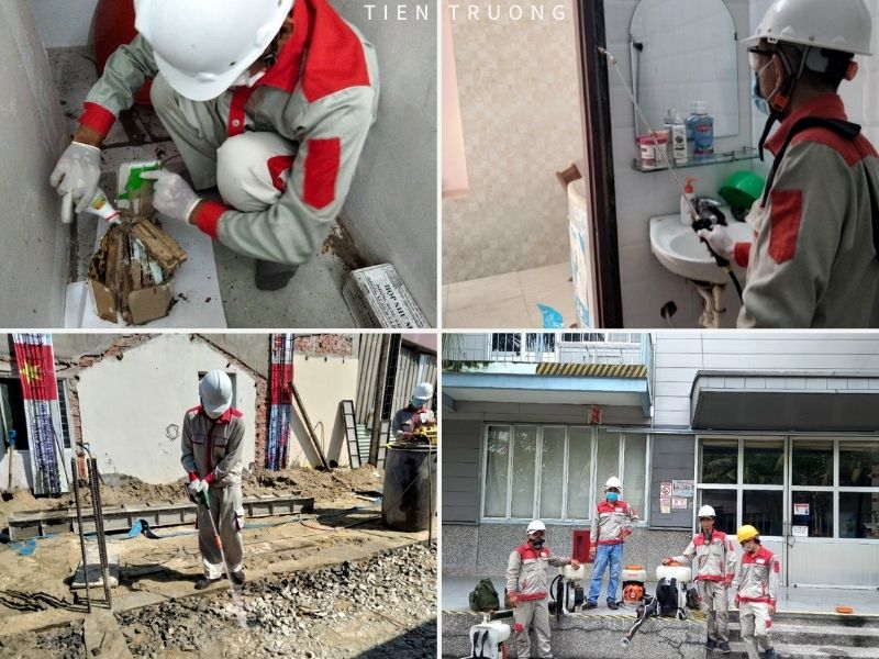 diet-moi-khu-cong-nghiep