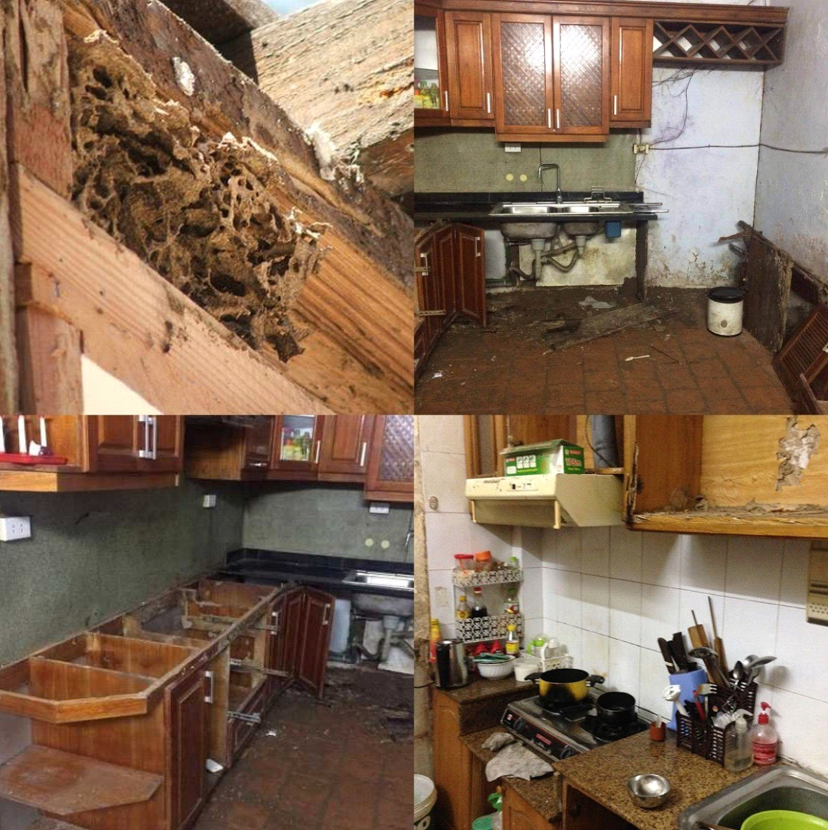 diet-moi-mot-cho-tu-bep-va-cau-thang