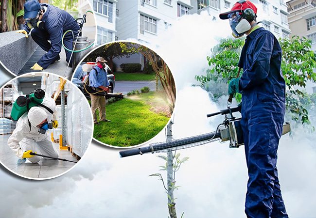 phun-muoi-chuyen-nghiep