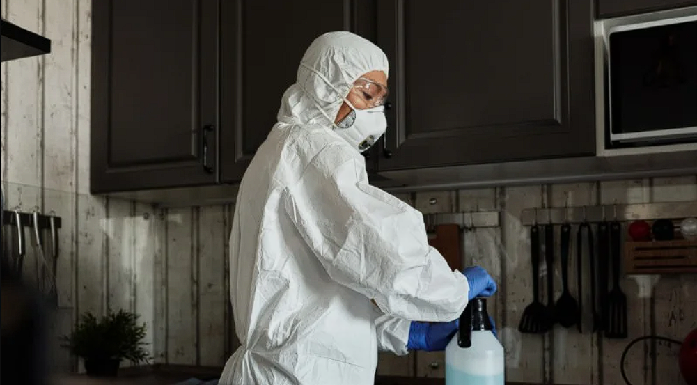 phun-thuoc-diet-kien-ba-khoang-tai-nha