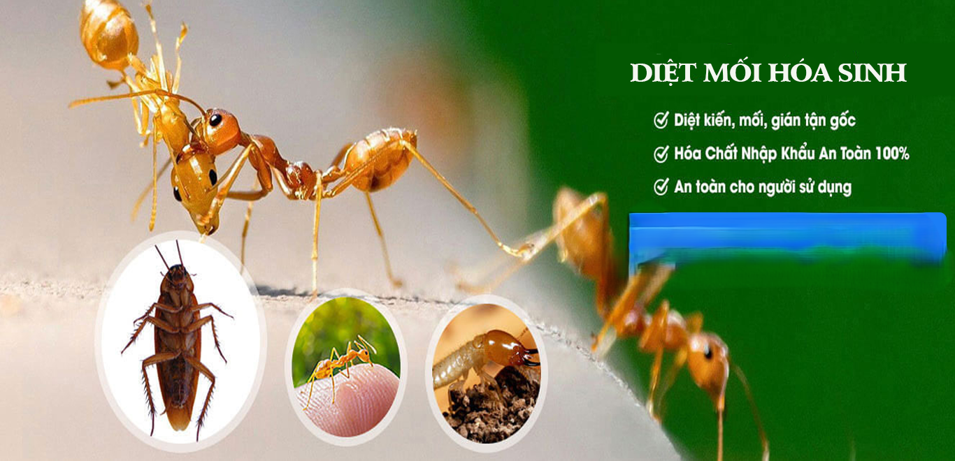 diet-moi-bang-phuong-phap-sinh-hoc