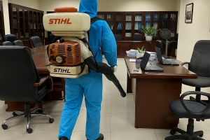 Dịch Vụ Diệt Chuột Uy Tín Tại Hội An Cho Nhà Hàng, Khách Sạn Và Hộ Gia Đình