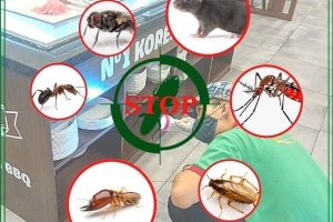  Dịch Vụ Diệt Côn Trùng Tận Gốc Uy Tín Và Xu Hướng Phun Khử Trùng Công Nghệ Cao 2026