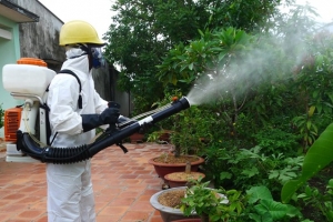 Dịch Vụ Phun Thuốc Diệt Muỗi Tại Đà Nẵng – Bảo Vệ Gia Đình Khỏi Sốt Xuất Huyết
