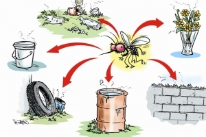 Ngăn ngừa những nơi trú ngụ của muỗi vằn trong nhà