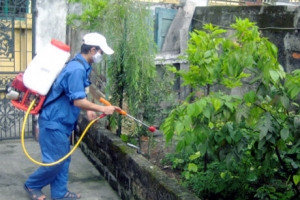 Tầm Quan Trọng Của Việc Phun Thuốc Muỗi Định Kỳ Quảng Nam