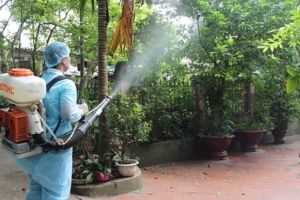 Thuốc diệt muỗi và một số điều mà bạn nên biết