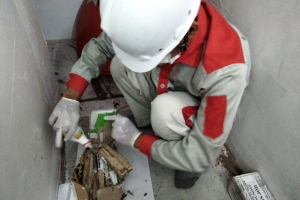 Nơi nào chuyên cung cấp dịch vụ phòng chống mối cho công trình uy tín?